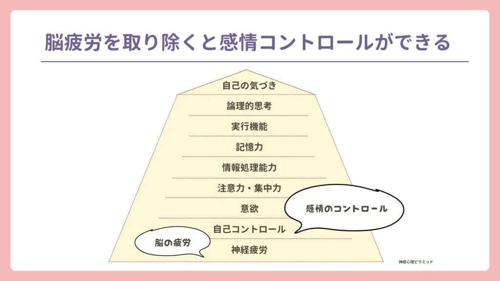 神経心理ピラミッド